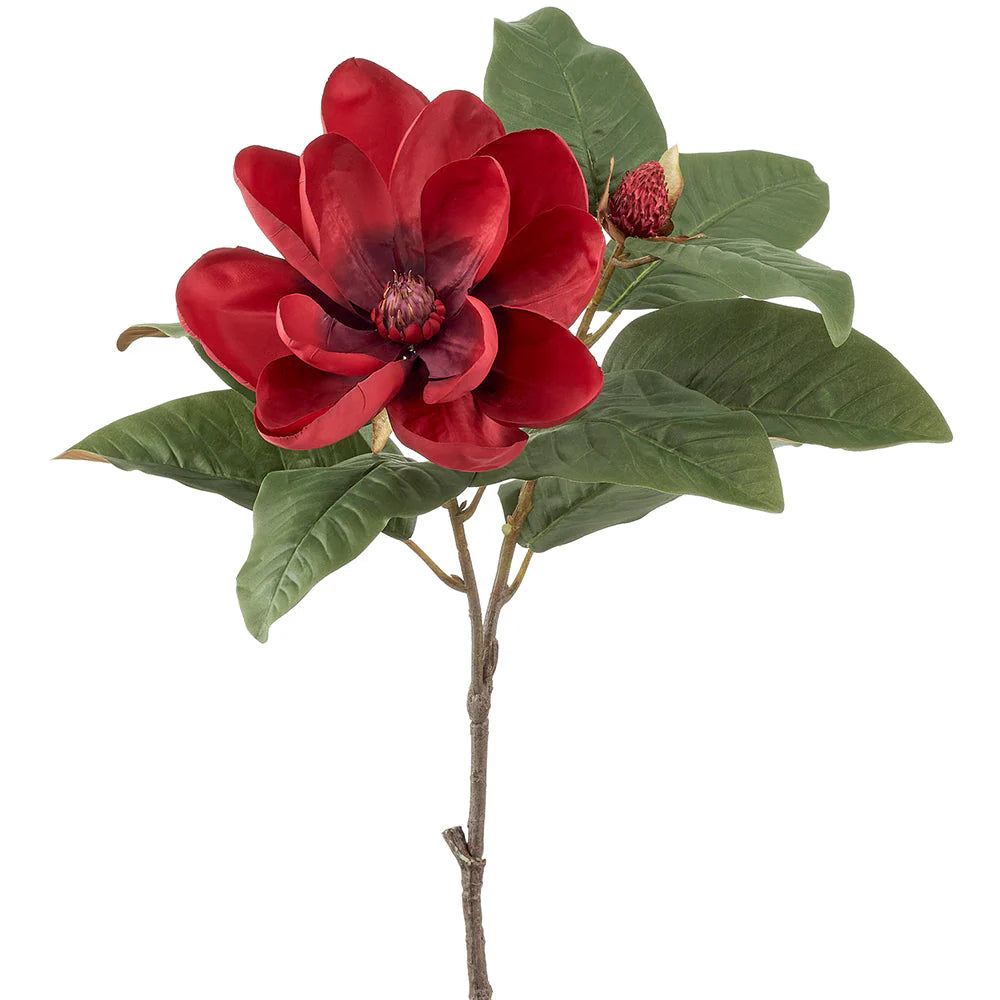 MAGNOLIA ROJA 70 CM