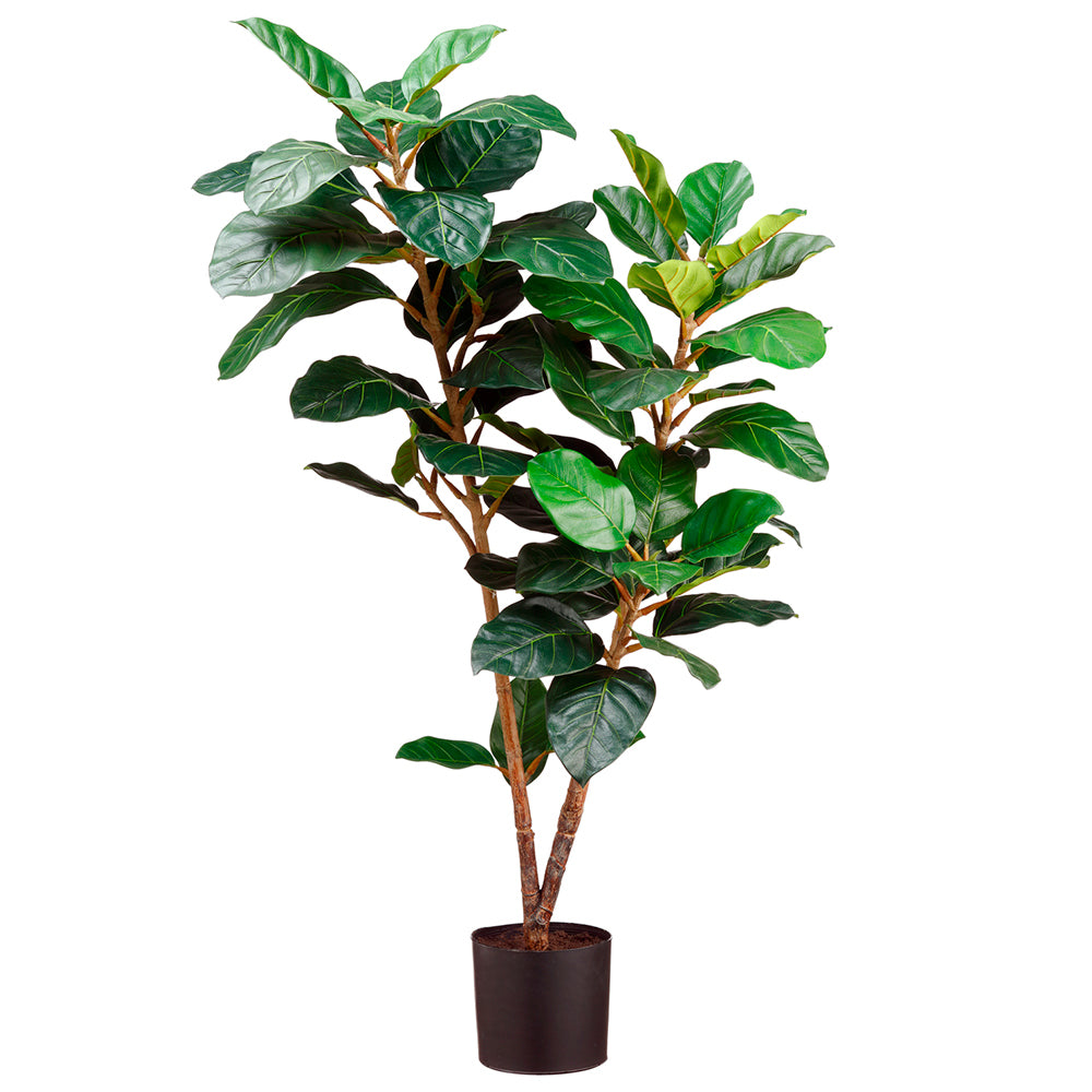 FICUS AUDREY 117 CM