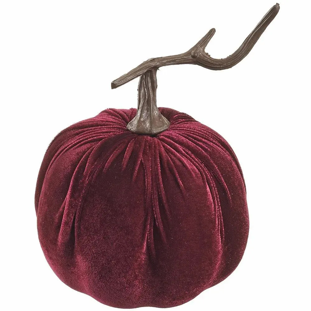 CALABAZA DE TERCIOPELO VINO