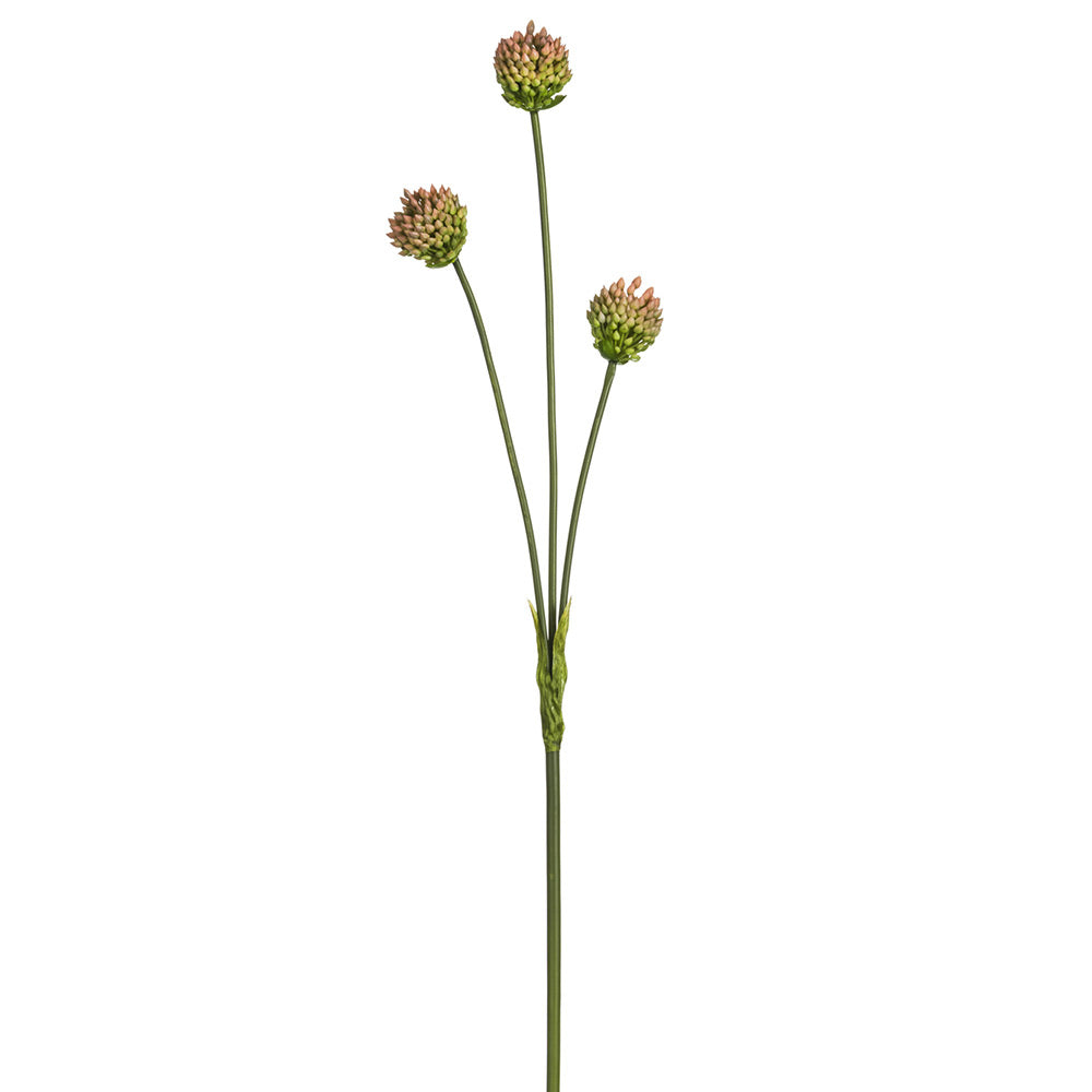 ALLIUM SPRAY VERDE/LILA