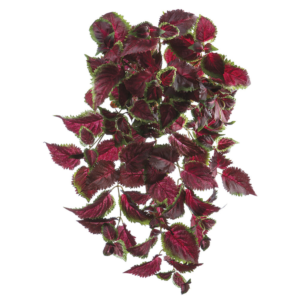 COLEUS COLGANTE VINO PROTECC UV 64 CM