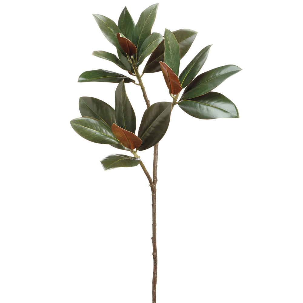 PLANTA RAMA DE MAGNOLIA VERDE OSCURO 89 CM